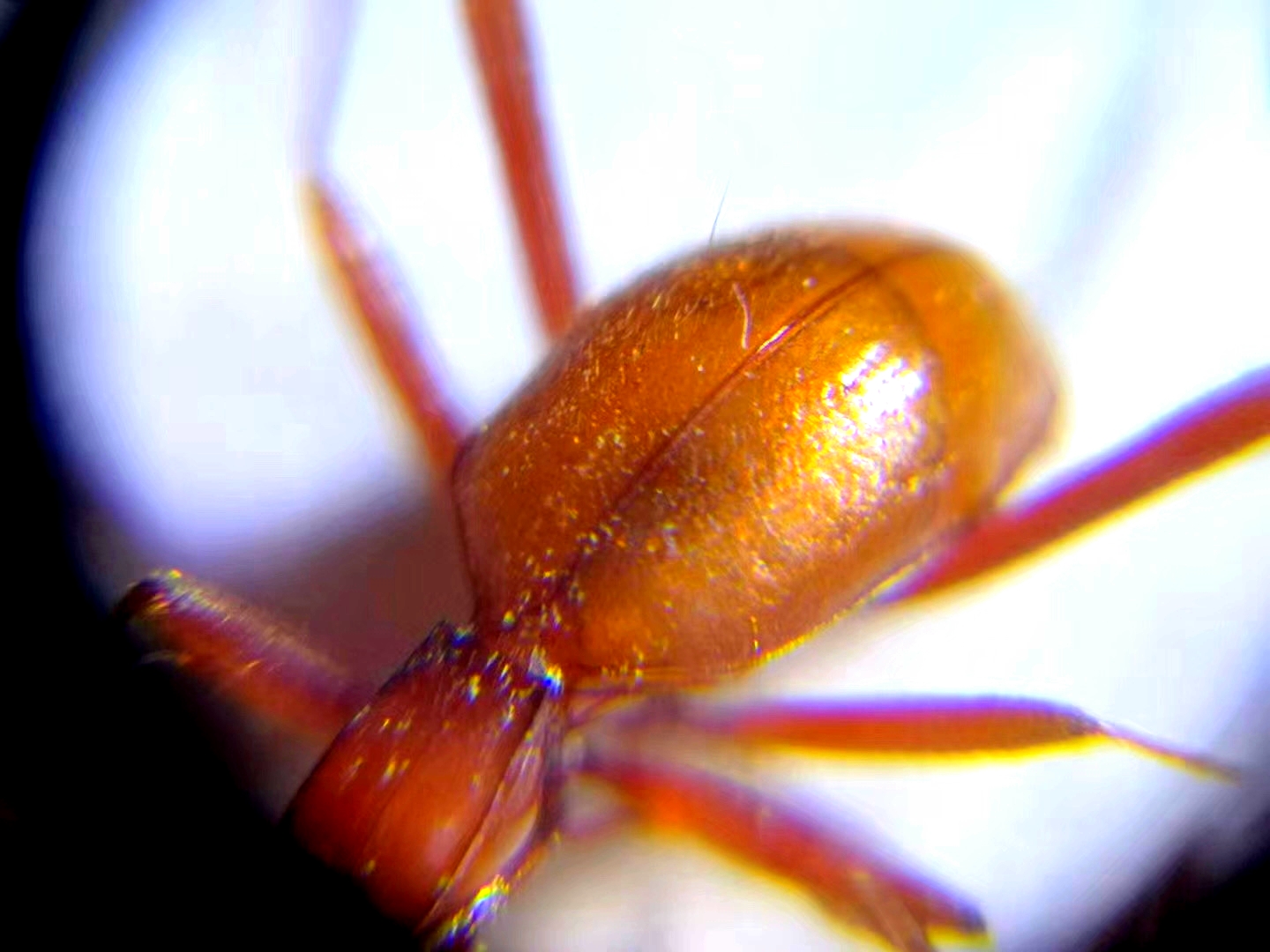 神秘溶洞息烽,探寻神秘洞穴