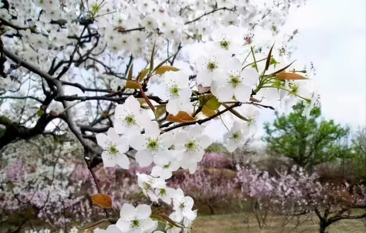 同河谷，英雄谷，正气谷丨李旭丰