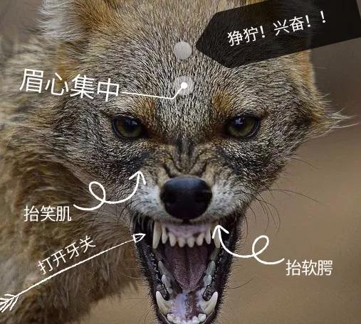 声乐老师“急哭”学生的N个要求，声乐原来是一门玄学？