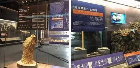 天津国家海洋博物馆门票怎么预约,天津海洋博物馆门票怎么免费预约