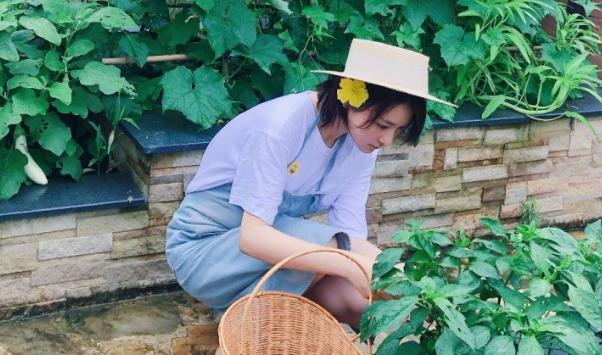 江苏的十大美女明星,江苏女星有哪些