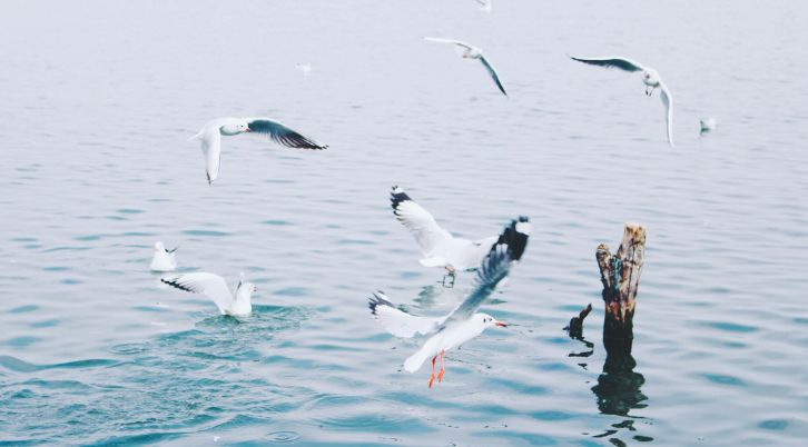 云南丽江旅游必备物品清单,云南元阳旅游攻略必备物品