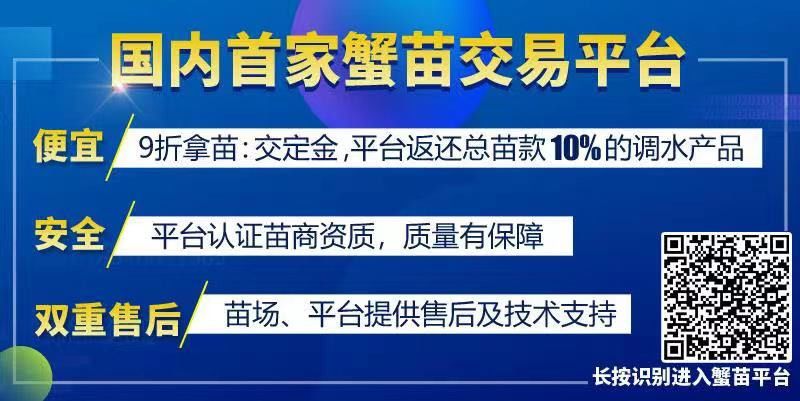 秋季捕鱼方法和技巧,捕鱼致富的方法
