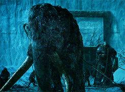 已灭绝四万年的猛犸象，人类祖先曾和猛犸象生死决斗