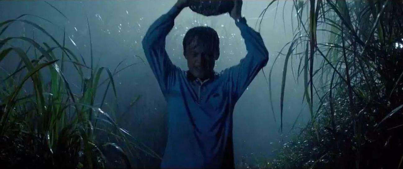 为了我开心，我爸杀人，《阳光普照》撕破每个中国家庭的伦理禁忌