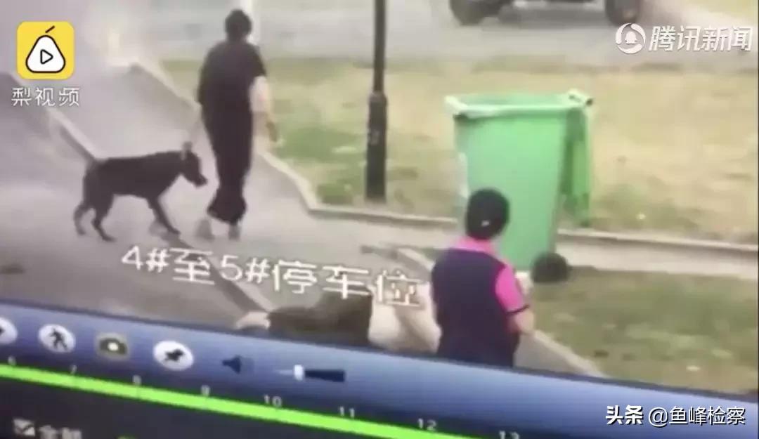 遛狗不牵绳又惹祸！男子遭狗撕咬*体下**被缝30多针……视频触目惊心
