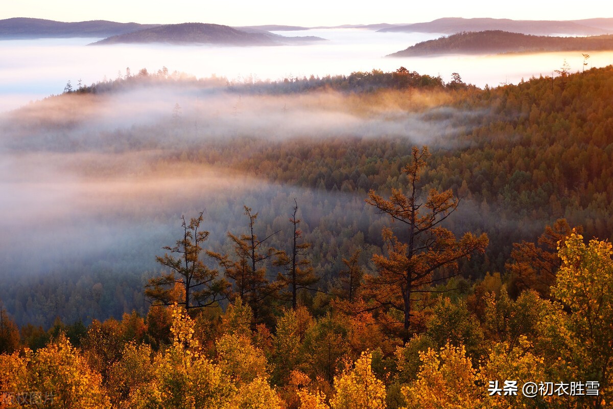 纳兰性德三首海棠词,纳兰性德最豁达潇洒的诗