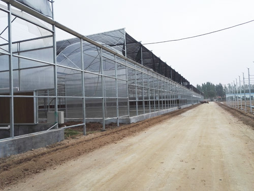 轻钢结构连栋薄膜温室大棚,连栋大棚建造全过程