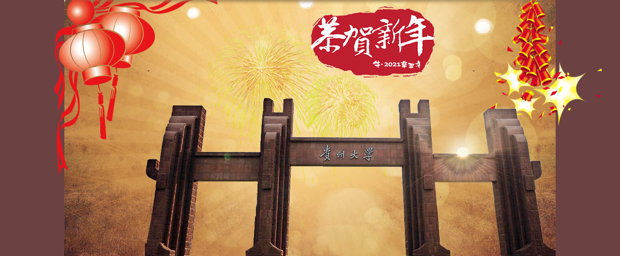 2020贵州大学毕业生就业分析,本科就业率96%,专业数量多