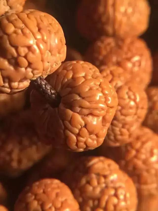 小金刚菩提子纹路图解大全,金刚菩提脖串什么纹路的好