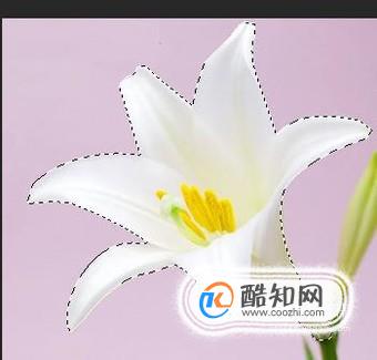 ps0基础教程自学网免费,ps0基础教程新手入门