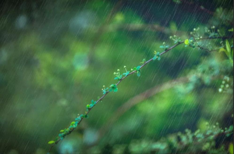 白居易晚来天欲雪的上句,晚来天欲雪诗句配图