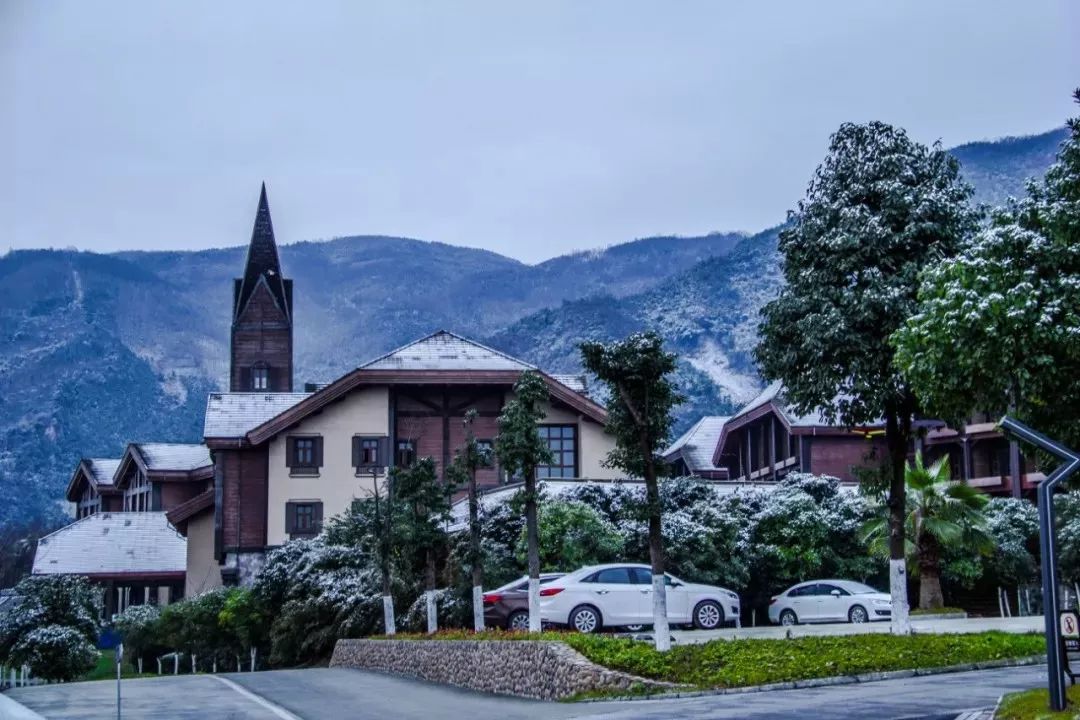 1h飚拢！千年银杏、云海星空、木屋烧烤……这条路线9……