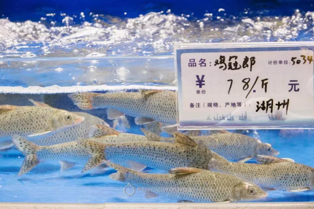 湖州:一座太湖南边的宝藏小城,春笋湖鲜河鱼,嘴巴好忙