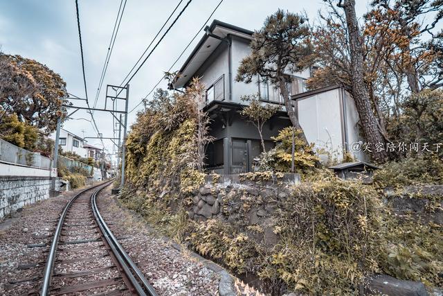 镰仓冬天旅游攻略,镰仓一日游最佳攻略