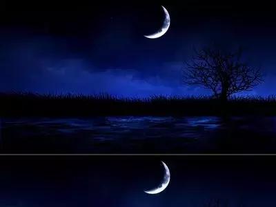 「潇湘名家」张继忠梦幻在艳阳里轻舞（外五首）