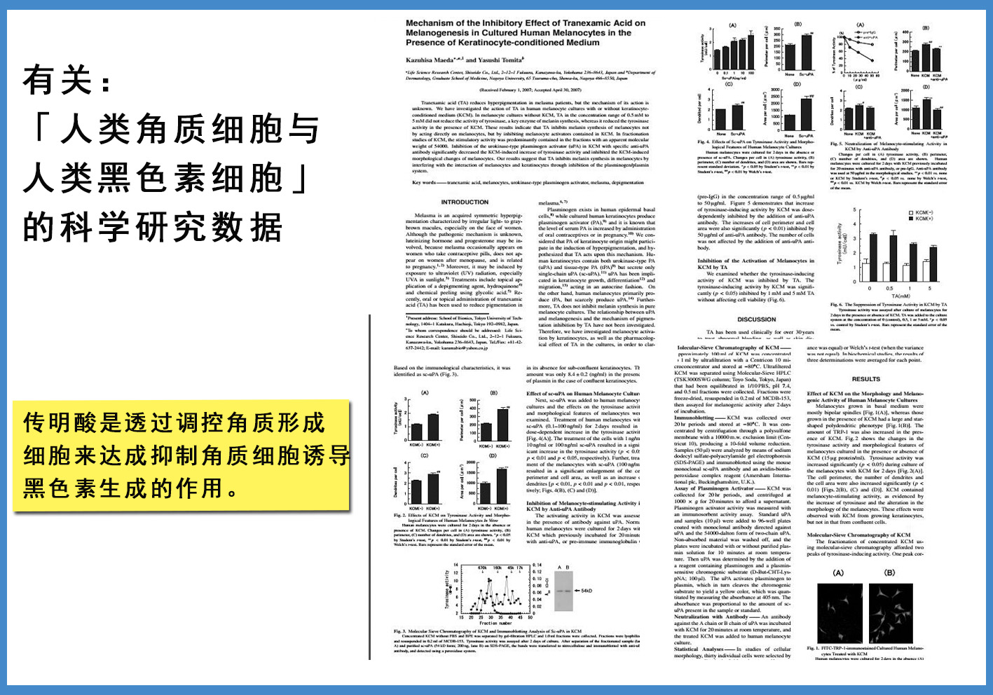 美白精华传明酸,美白传明酸