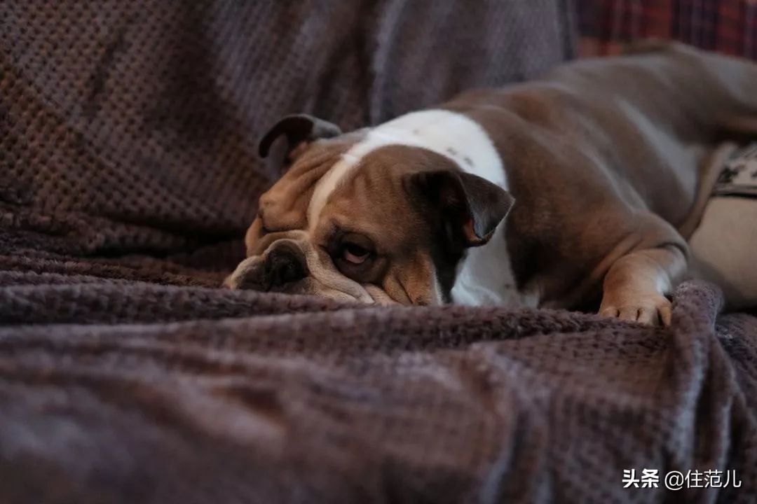 小姑子不结婚和父母住一起,女儿一辈子不结婚跟父母住一起