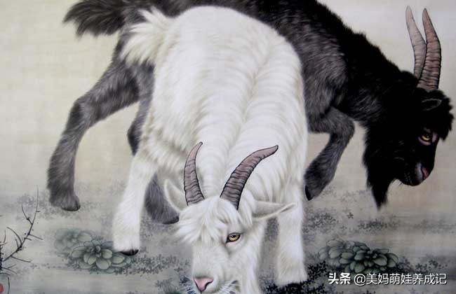 古语说十羊九不全是真的吗,俗话说十羊九不全是什么意思