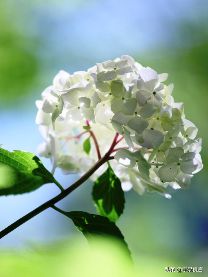 很有深意的句子，有些东西，并不是越浓越好，要恰到好处