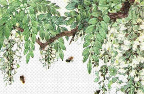 舌尖上的中国百年相传美食,舌尖上的中国美食教材书