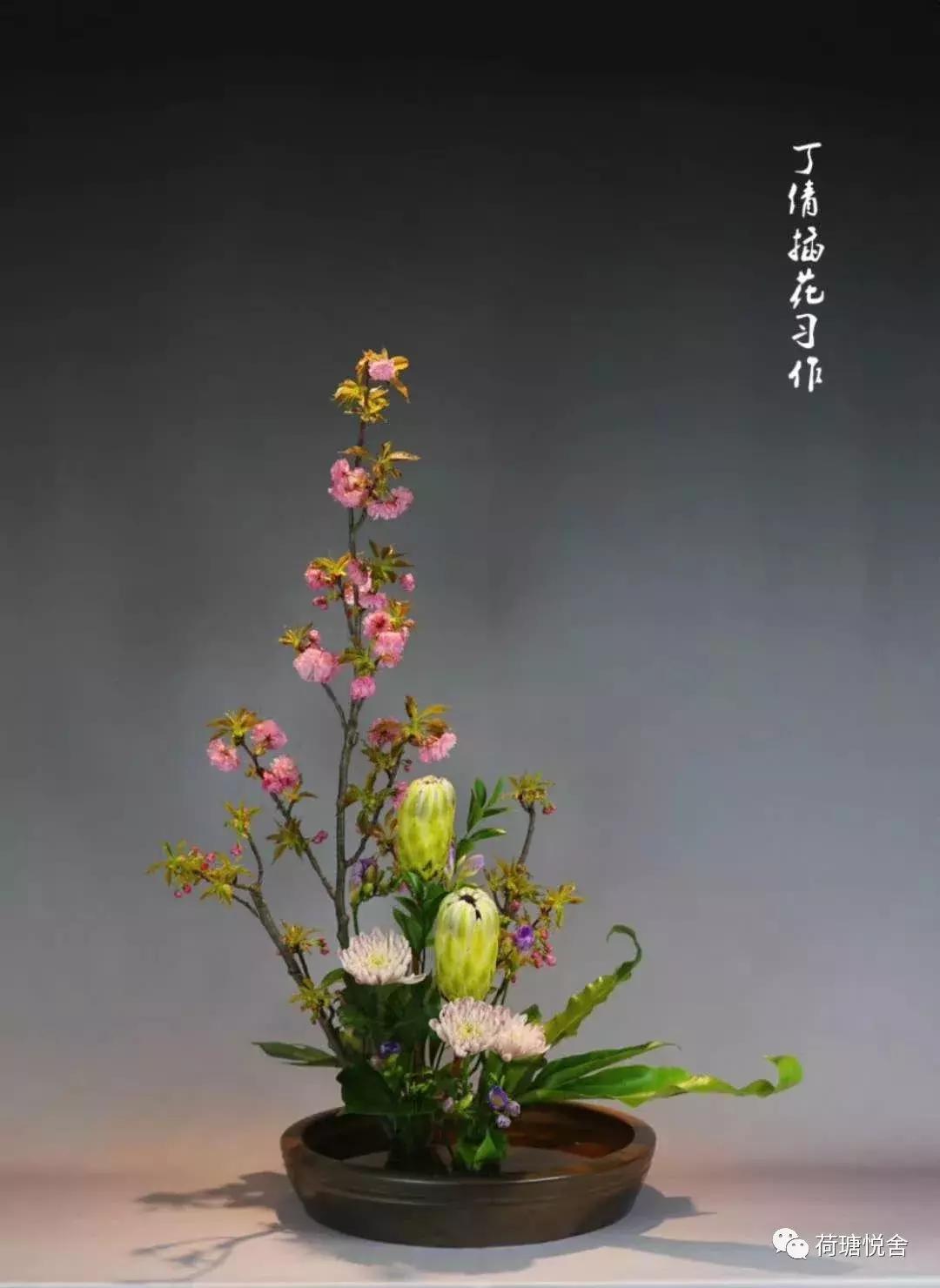 悦见花开花园,悦见花开