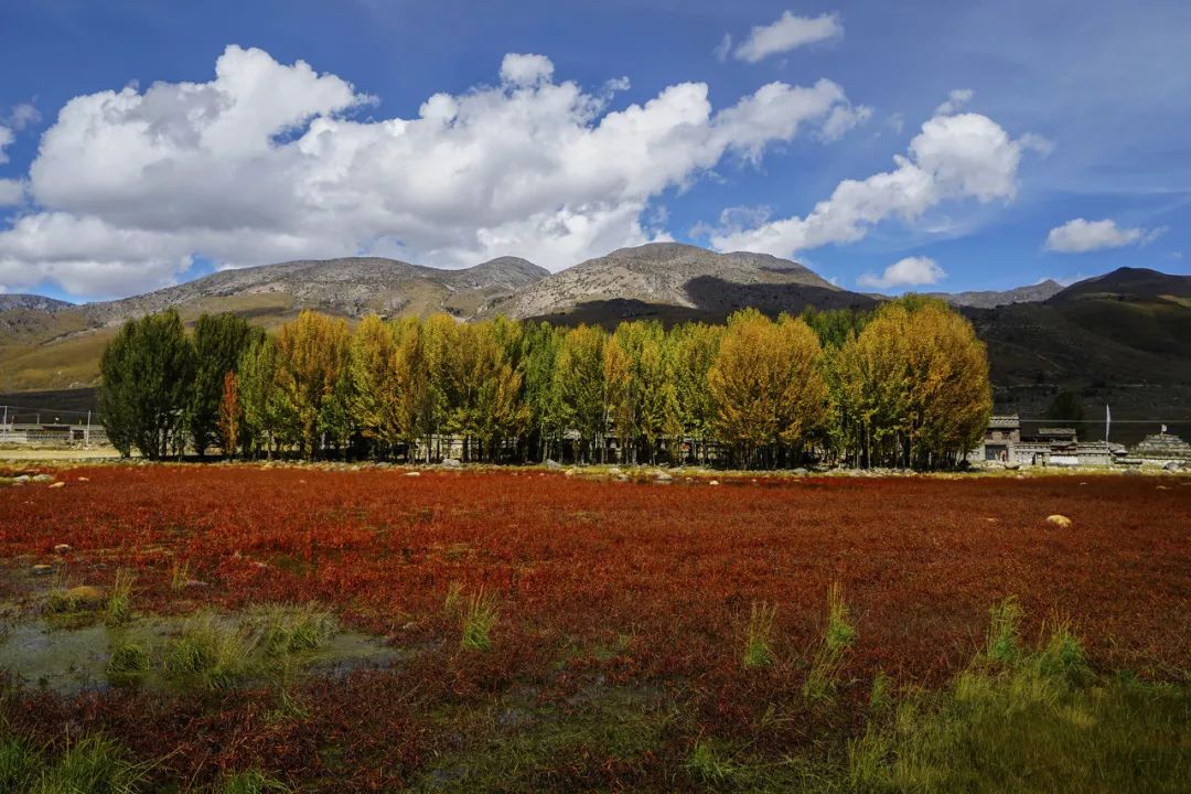 情歌故乡，格萨尔王故里，不去*藏西**就去梦中的香巴拉