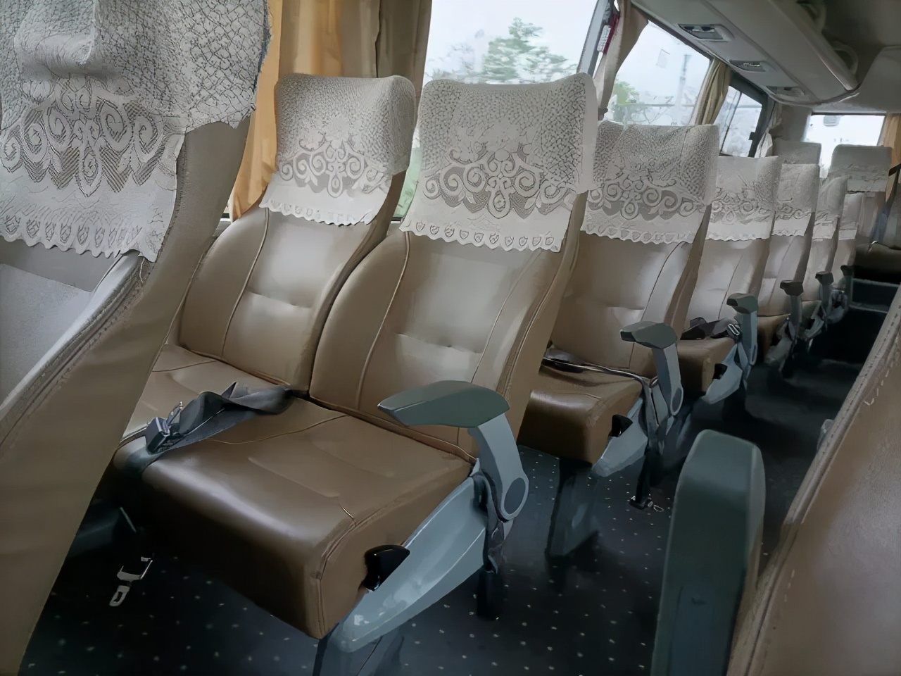 哈哈哈哈哈我笑到我家的狗偷开邻居家的车送我去精神病院