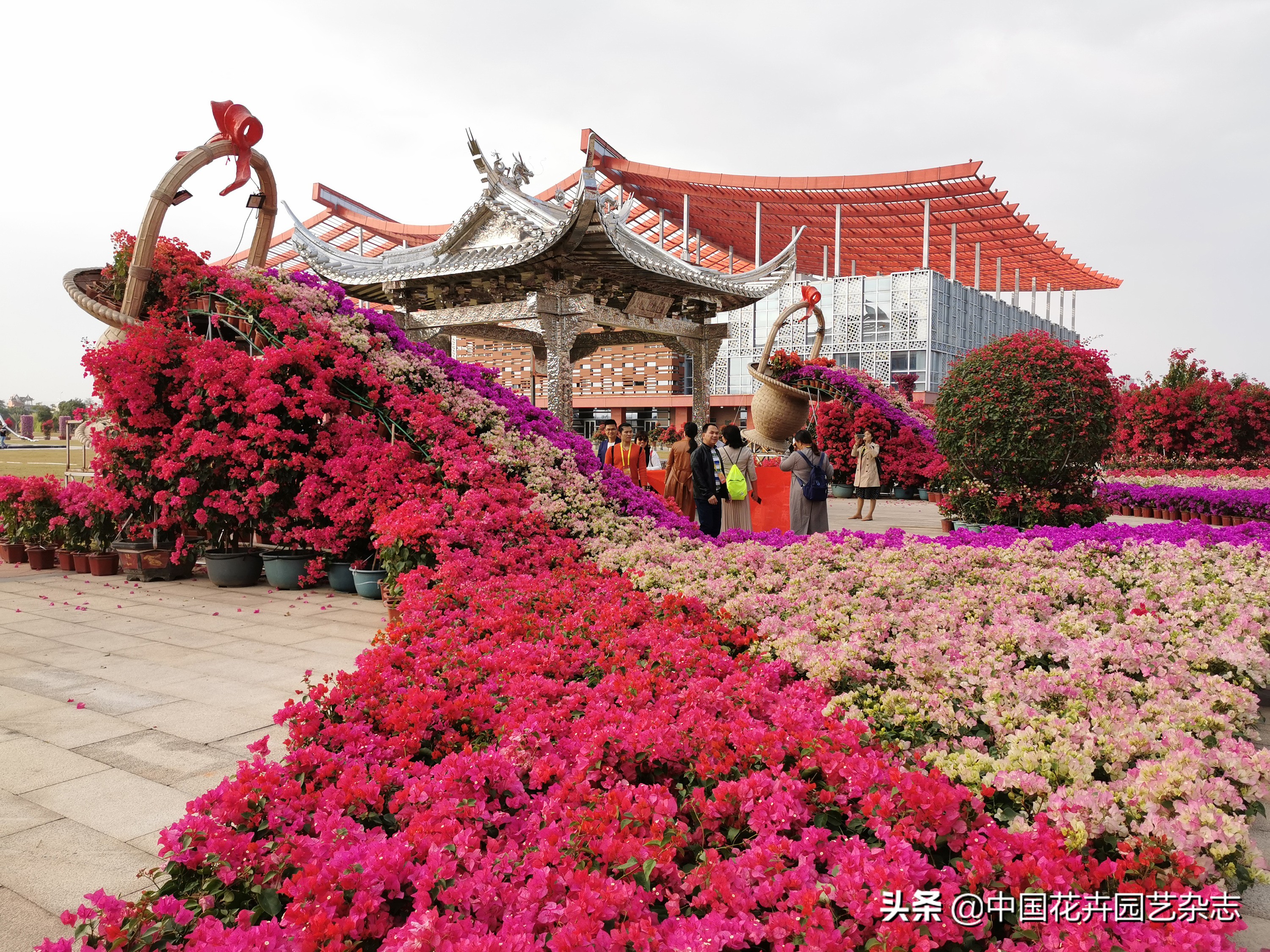 为两大产业率先突破注入鲜活动力,为经济发展注入新动力新活力