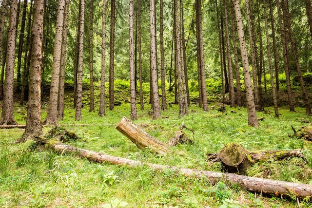 被同学带到北海搞项目，是传销还是国家政策扶持，今天上了第一课