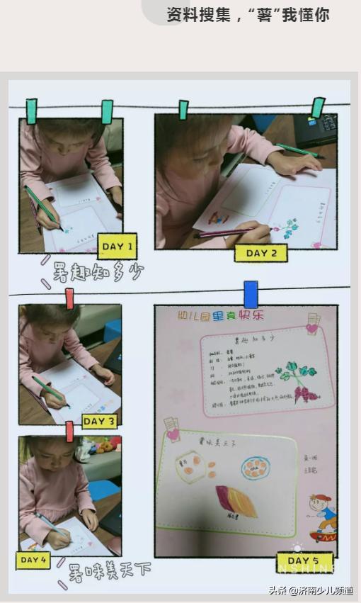 幼儿园红薯生成课活动方案,幼儿园科学教案红薯的成长过程