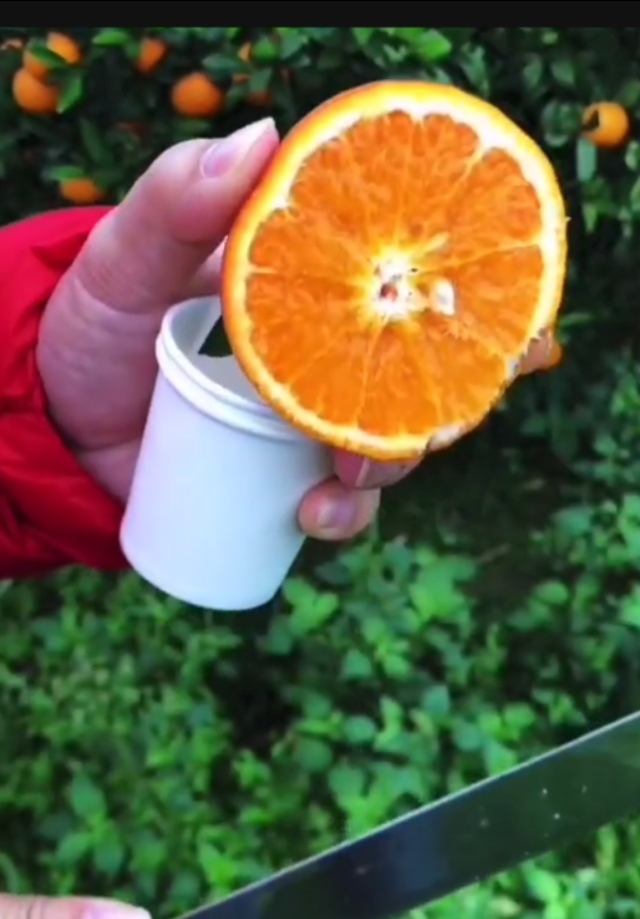 广西农特产品网网友是怎样分析米豆果蔬优质好吃原因的