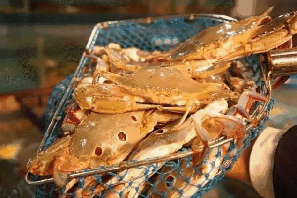 鑿滃競鏁撮】,浣犵啛鎮夎彍甯傚満鐨勭幆澧冨悧