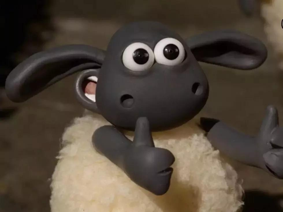 100%绵羊毛羊毛衫怎么清洗防缩水,纯绵羊羊毛衫洗后缩水多少公分