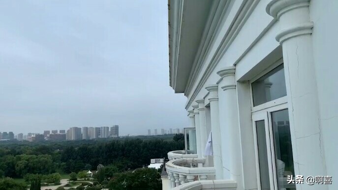 沈阳北陵公园的树,沈阳市北陵农场红枫林