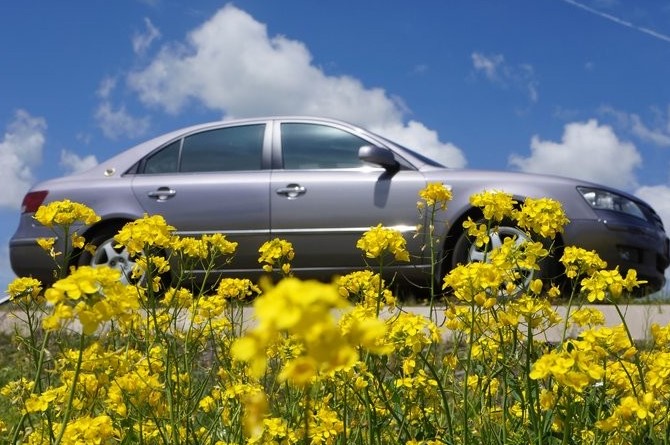 大西北甘青环线旅游游记,甘青宁蒙四省经典环线6日游