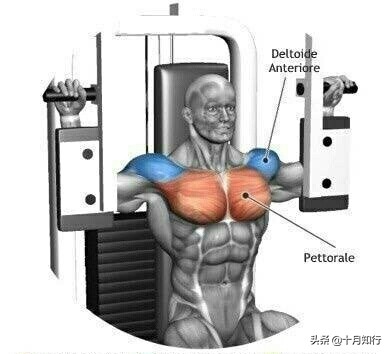 把胸肌练宽,把胸肌练大健身房动作