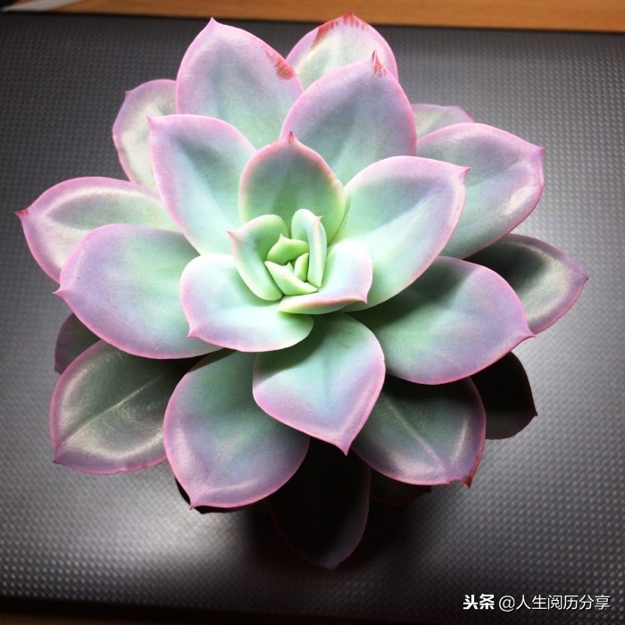 优秀的名言警句大全,特别有深刻意义的名言警句