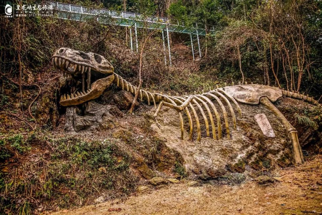 长沙浏阳市皇龙峡景区介绍视频,浏阳皇龙大峡谷攻略