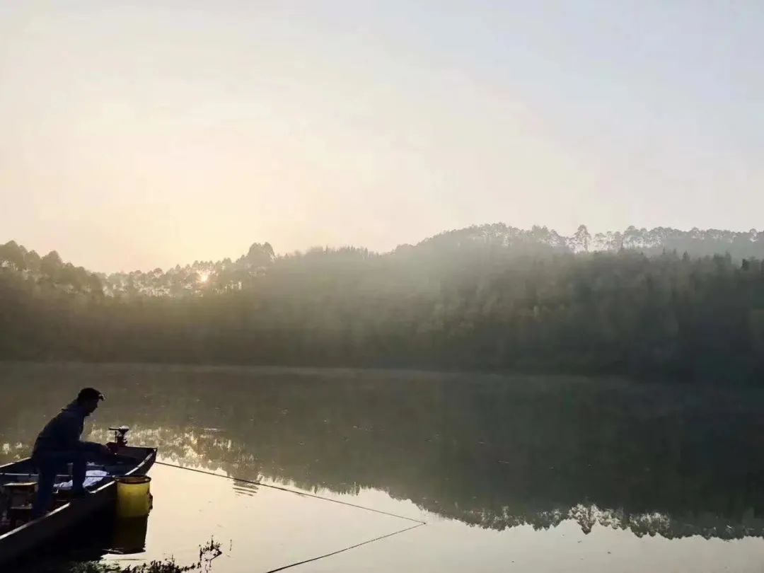 野奢不被鄙视?问问那些爱钓鱼的老孩子们,他们有活蹦乱跳的经验