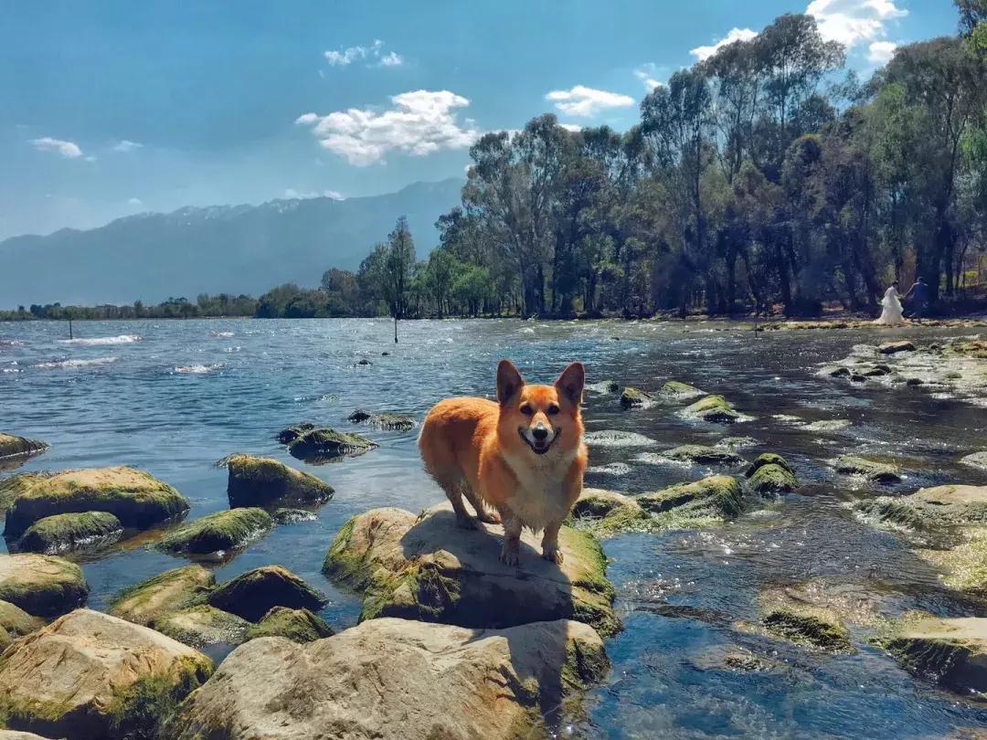 北漂在大理的生活,北漂女子住大理