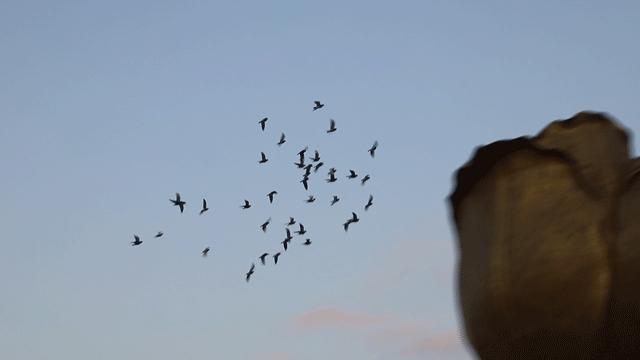 深圳旅游好去处推荐,深圳宝安区周末休闲浪漫好去处