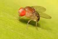 打破男女的刻板印象,打破男女固有形象