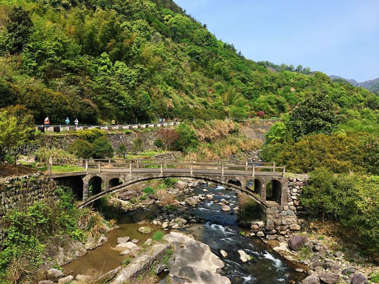 2020年江南100英里越野赛,江南100越野赛选手名单