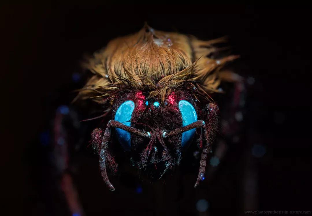 紫外线外星人真的存在吗,外星生命紫外线