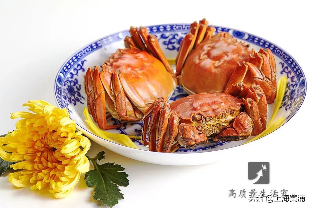 螃蟹怎样保存24小时不要放冰箱,螃蟹怎样保存才能放时间长点