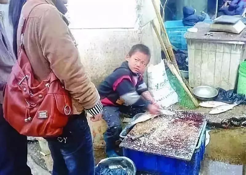 杀鱼弟如今怎么样了,杀鱼弟为什么这么火