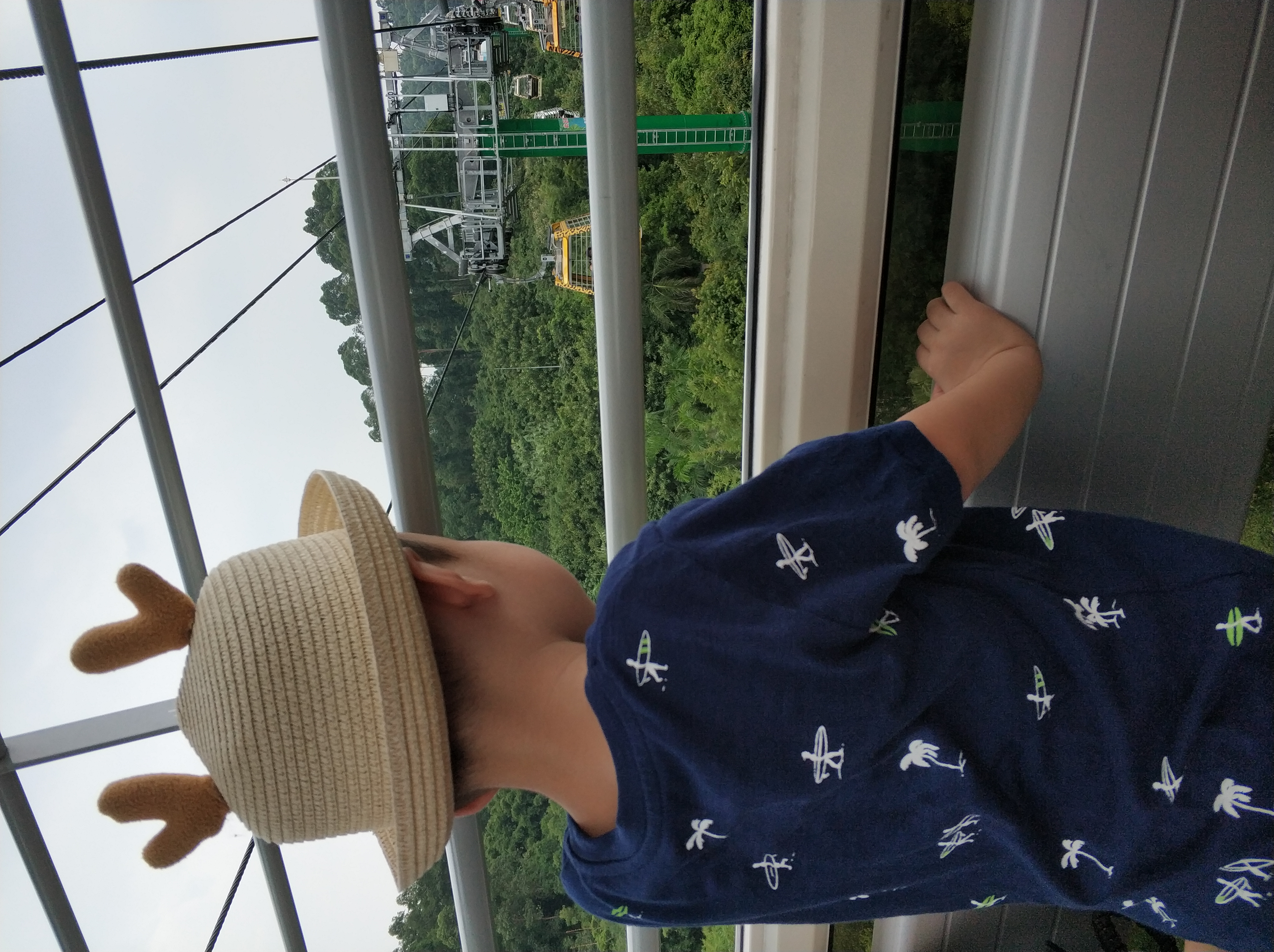 广州长隆野生动物园1天1夜,带孩子去广州长隆野生动物园