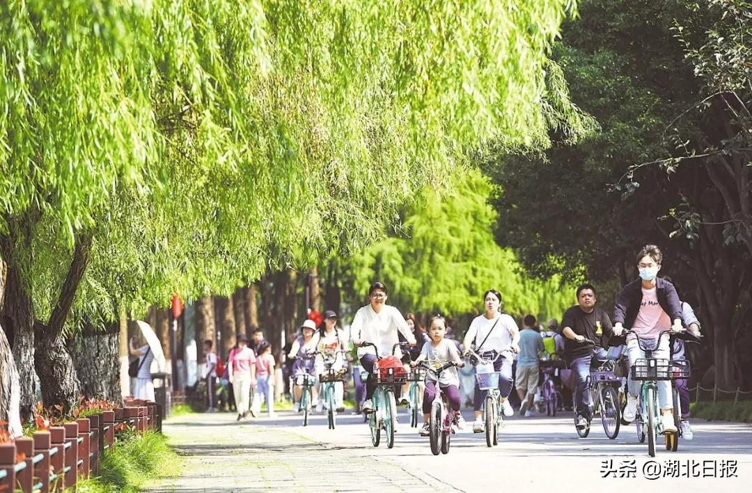 长文最新更新视频,重磅文章最新