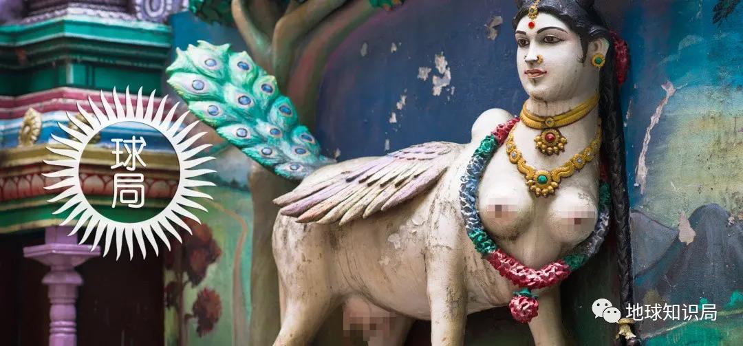 印度不让吃鸡肉吗,印度是不吃牛肉的国家吗